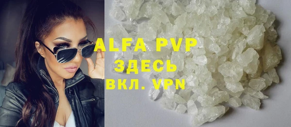 индика Медногорск