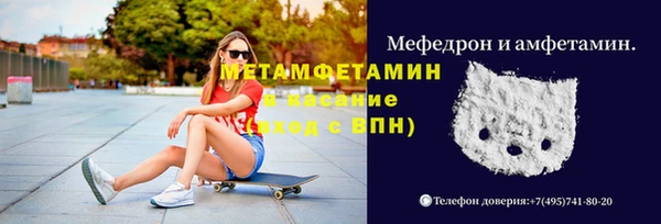 индика Медногорск