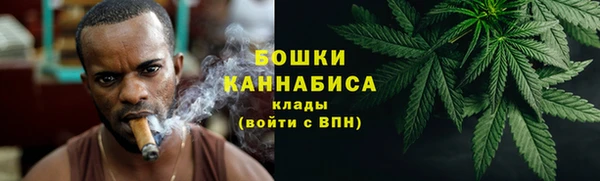 индика Медногорск