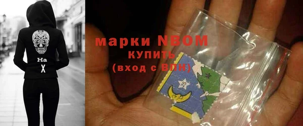 индика Медногорск