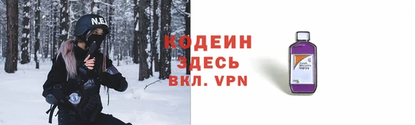 индика Медногорск