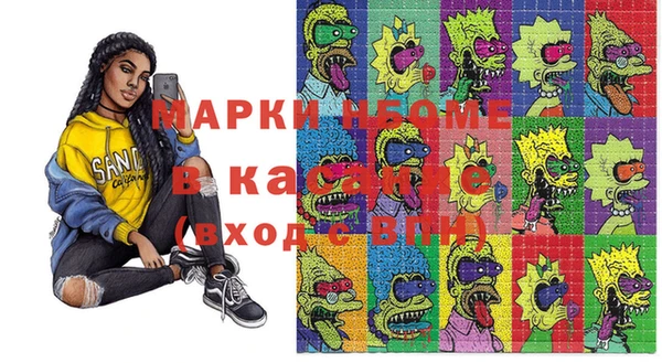 индика Медногорск