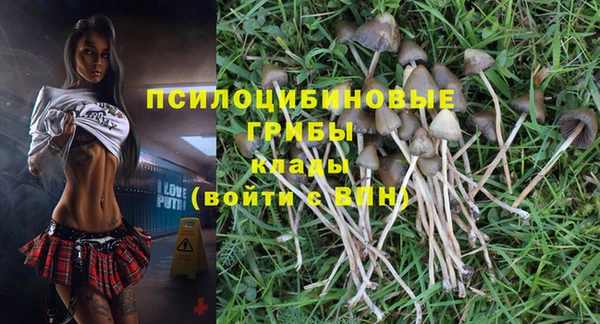 индика Медногорск