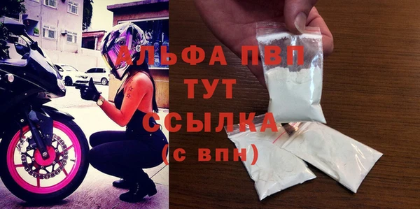 индика Медногорск