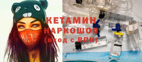 индика Медногорск