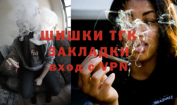 индика Медногорск