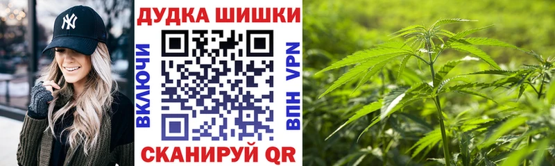 Конопля планчик  Полярный 